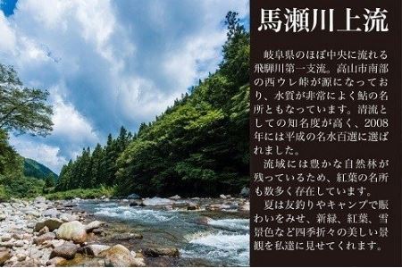 【令和8年】馬瀬川上流鮎年釣証 1枚【36-1】