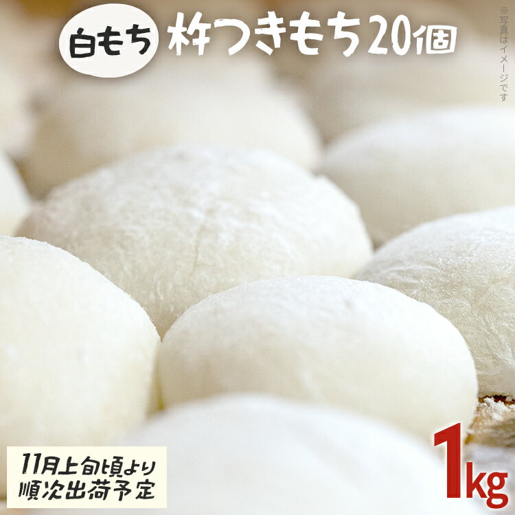 【ふるさと納税】白もち 杵つきもち 20個 1kg 【11月上旬頃より順次出荷予定】 自家製米 ひよくもち米 杵つき 丸餅 お雑煮 おしるこ 焼き餅 焼きもち ぜんざい 福岡県 福岡 九州 グルメ お取り寄せ