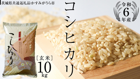 【 令和6年産 】 コシヒカリ 玄米 10kg ( 10kg × 1袋 ) (茨城県共通返礼品 かすみがうら市) 米 ごはん もっちり 甘い コメ お米 玄米 [EX004sa]