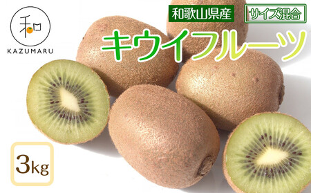 森本農園の キウイフルーツ 約3kg 和歌山県産 サイズ混合 ［北海道・沖縄・離島配送不可］［2026年2月上旬から順次発送予定］［RN126］