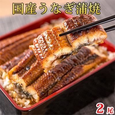 ふるさと納税 美浜町 【毎月定期便】海鮮彩りセットB(サバフィレ・うなぎ蒲焼・紅鮭切身・海鮮漬)全4回 |  | 01