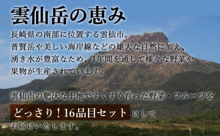 定期便 12回コース 贅沢 野菜 セット どっさり 16品目以上 季節の野菜 フルーツ キノコ 詰め合わせ / 吉岡青果 / 長崎県 雲仙市[item0629]