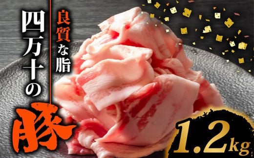 四万十ポークスライス1.2kg | 300g × 4パック セット 豚肉 豚バラ肉 小分け 小間切れ スライス 切り落とし 冷凍 真空パック 簡単調理 細切れ 大容量 肉 高知県 須崎市 TM037