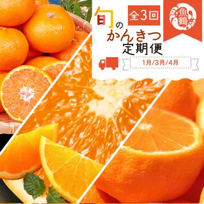 ふるさと納税 かつらぎ町 【発送月固定定期便】紀州和歌山産旬のフルーツセット(みかん・紀州デコ・清見)全3回