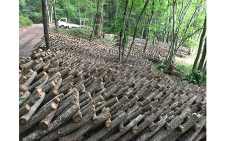【規格外・訳あり】原木栽培の天然しいたけ〜「日本農業賞」大賞受賞の農園〜