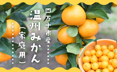 24-710．【3回定期便・早期受付・数量限定】＼人気フルーツを旬の時期にお届け！／成田果樹園のフルーツ定期便Bコース【配送時期：2025年2月・3月・10月】