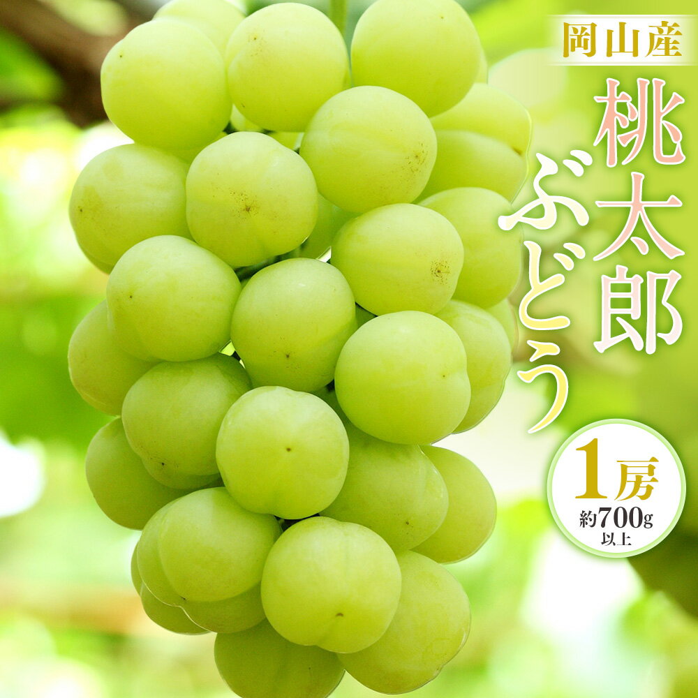 【ふるさと納税】岡山産 桃太郎ぶどう 1房（700g以上） 化粧箱入り ぶどう ブドウ 葡萄 果物 くだもの フルーツ 種なし 大粒 高糖度 冷蔵 お取り寄せ 国産 岡山県 奈義町 送料無料 【2025年7月下旬～9月上旬迄発送予定】
