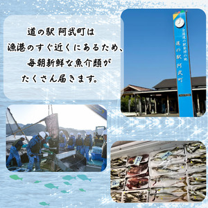 山口県 阿武町 道の駅 厳選 ！ 当日水揚げ 鮮魚 セット 約4～5kg 新鮮 豪華 旬 獲れたて 魚 さかな サザエ 海鮮