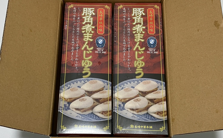 【全6回定期便】長崎 豚角煮まんじゅう 10個(5入を2箱)〈化粧箱入〉とろ~り角煮をふわふわ生地で包んだ絶品グルメ【長崎中華本舗】  おすすめ 人気 高評価 温めるだけ ギフト 定期便 長崎名物 