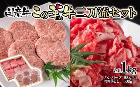 国産牛切り落とし500ｇ＆牛100％ハンバーグ100ｇ×5個　二刀流セット　この華牛　合計1ｋｇ＜1.1-27＞