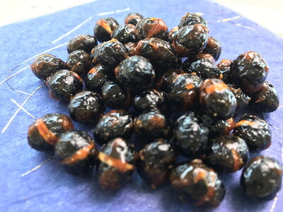 令和5年産　黒豆【500g】【AB54SM1】