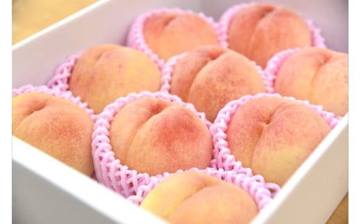 08-10-022　硬い桃　白桃(品種おまかせ) 3kg