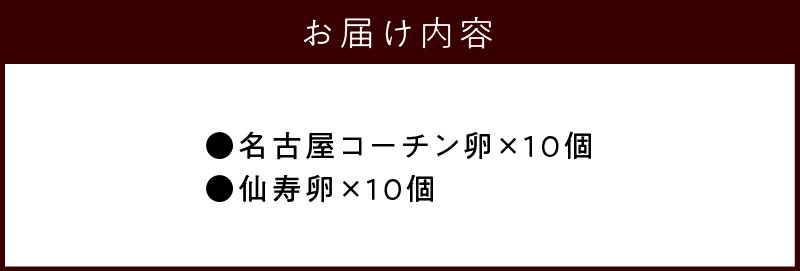 名古屋コーチン卵・仙寿卵お試しセット（各10個入り）