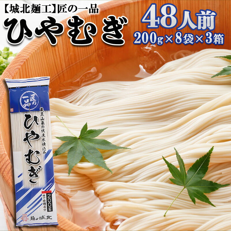 【ふるさと納税】【城北麺工】夏季限定！匠の一品 ひやむぎ 48人前 FZ22-830