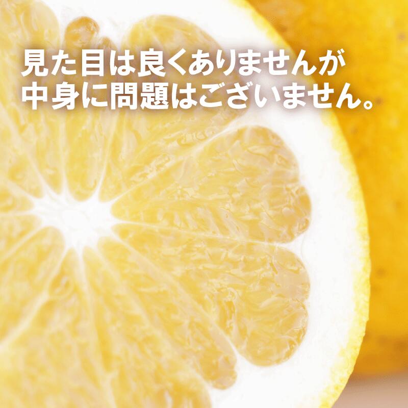 訳あり 河内晩柑 7.5kg サイズミックス 7000円 みかん かわちばんかん ミカン mikan わけあり 愛南ゴールド 家庭用 あいなん ゴールド 美生柑 文旦 派生 和製 グレープフルーツ 産
