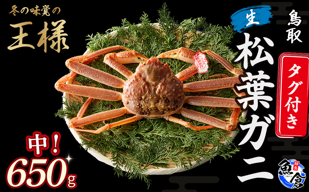 
                  【魚倉】タグ付き生松葉ガニ（中650g） 松葉ガニ カニ ズワイガニ カニ爪 タグ付き 冷蔵 かにしゃぶ カニ刺身 限定価格 限定寄付額 鳥取県 倉吉市
                