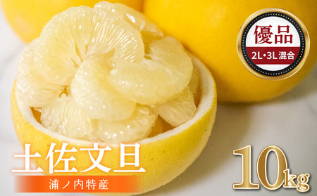 【早期予約2026年2月頃より順次発送】土佐文旦10kg優品2L3L混合柑橘柑橘柑橘柑橘柑橘