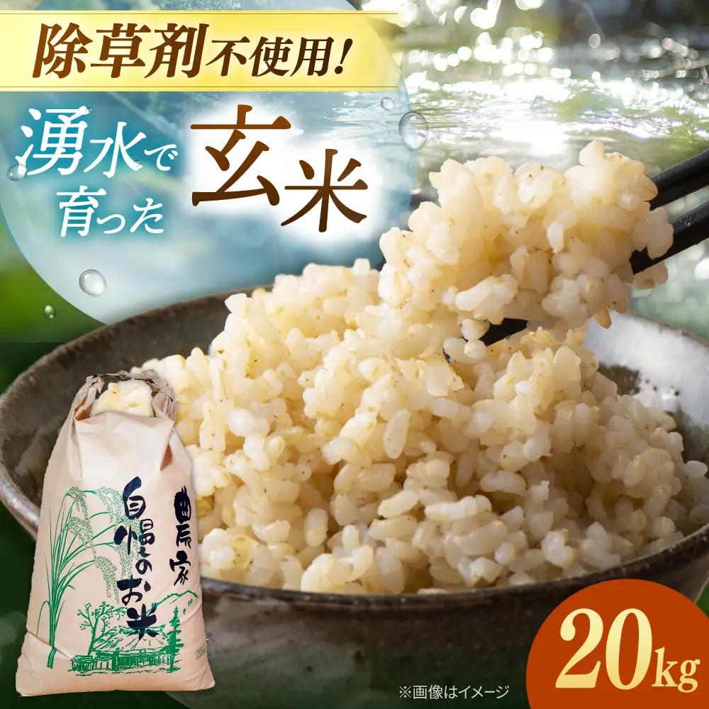 玄米 20kg 【先行予約・令和8年産 】 ノガミファーム お米 桂川町/NOGAMI FARM [ADAU012]