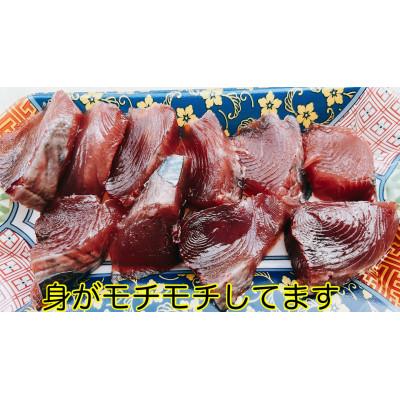 ふるさと納税 南国市 釣れたその日発送ビリかつお刺身300g×1節、わら焼きタタキ300g×1節(醤油・ニンニク・タレ付) |  | 02