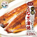 【ふるさと納税】特撰うなぎ蒲焼140g×2尾【配送不可地域：離島】【1497488】