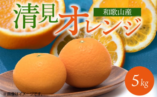 G7066_とにかくジューシー 清見 オレンジ 5kg