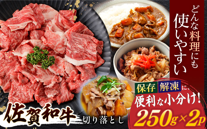 
                  佐賀和牛 切り落とし 計500g(250g×2p)【一ノ瀬畜産】 [NAC030]  牛肉  佐賀県産 黒毛和牛 ブランド牛 牛肉 切り落とし きりおとし
                
