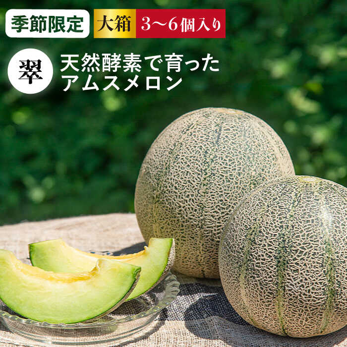 【ふるさと納税】【先行予約】アムスメロン「翠」 3〜6玉（大箱）【2026年6月中旬以降順次発送】《壱岐市》【フレッシュメイト壱岐】[JAZ005] メロン めろん アムスメロン 果物 くだもの 果実 フルーツ デザート ギフト 贈答 プレゼント 20000 20000円