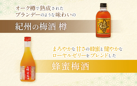 梅酒 紀州の梅酒 飲み比べ5本セット（白・赤・蜂蜜・黒糖・樽）300ml×5本 【mtgn109A】