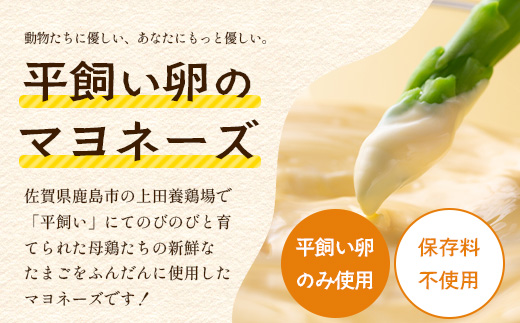 こっこの陽なたマヨ 170g×1個｜平飼いたまご使用・無添加風マヨネーズ｜安心・安全 調味料 サラダ・ポテトサラダ・ディップ・ドレッシングに