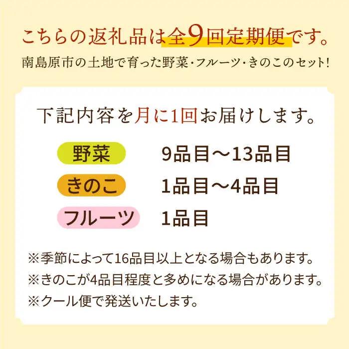 【9回定期便】野菜定期便 吉岡青果[SCZ024]