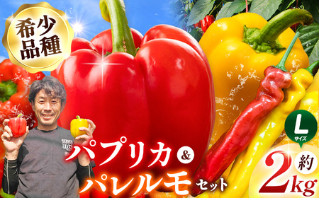 【先行受付：2026年発送】パプリカ＆パレルモ(希少品種) Lセット　約2kg | パプリカ パレルモ 野菜 希少 ジューシー フレッシュ ヘルシー ふるさと納税 信州 長野県 松本市