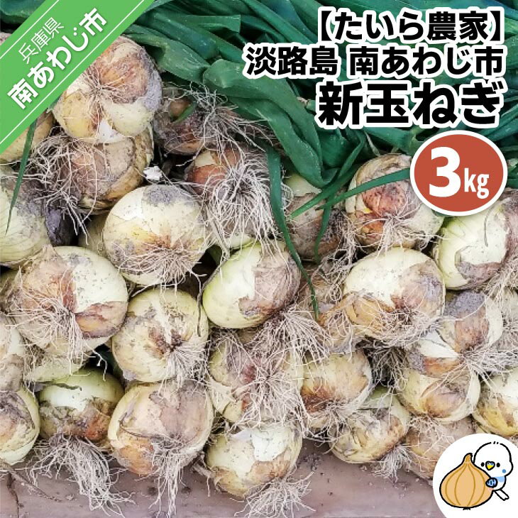 【ふるさと納税】新玉ねぎ　淡路島　南あわじ市 3kg◆配送4月〜5月下旬
