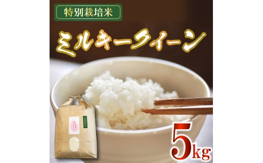 【オンライン決済限定】 米 ミルキークイーン 5kg 農家直送 特別栽培米 精米 令和6年度産 お米  贈り物 新生活 人気米 ご飯 白米 コメ 贈答 静岡県 藤枝市				