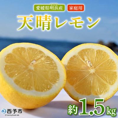 ふるさと納税 西予市 【先行受付】天晴レモン　ご家庭用　約1.5kg