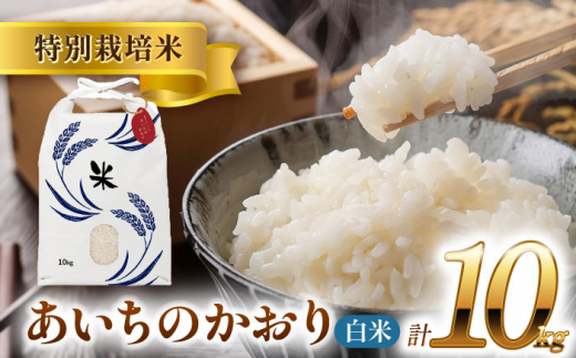 【12月発送】愛知県産あいちのかおり 白米10kg 特別栽培米 ご飯 精米／戸典オペレーター [AECT025-12]