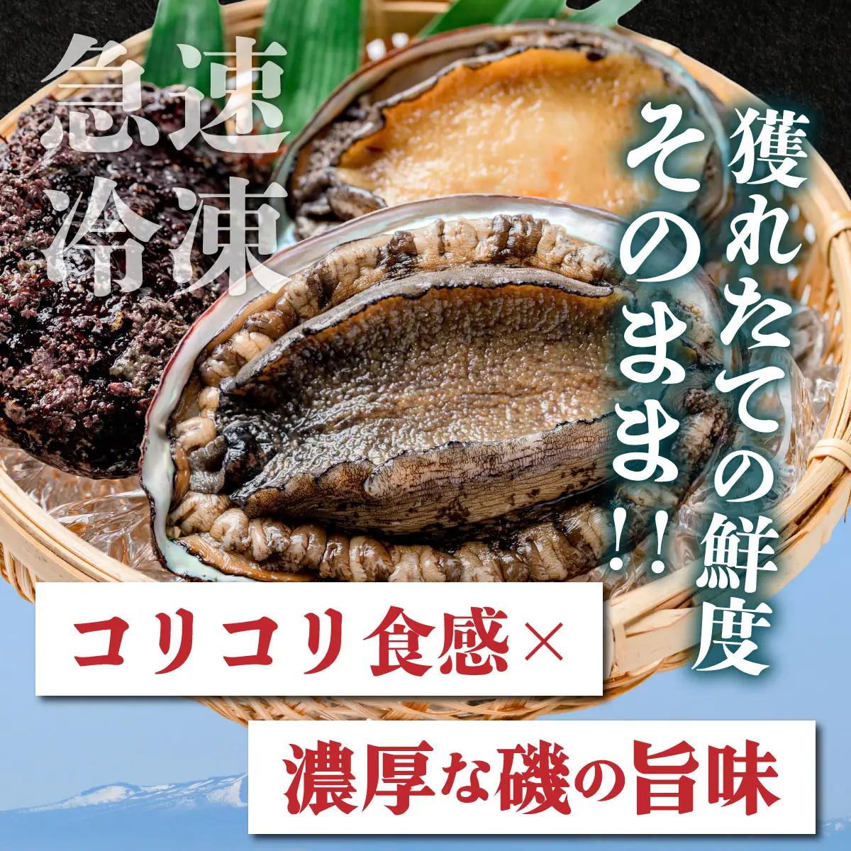 天然 蝦夷あわび 計500g 【mh-0908】