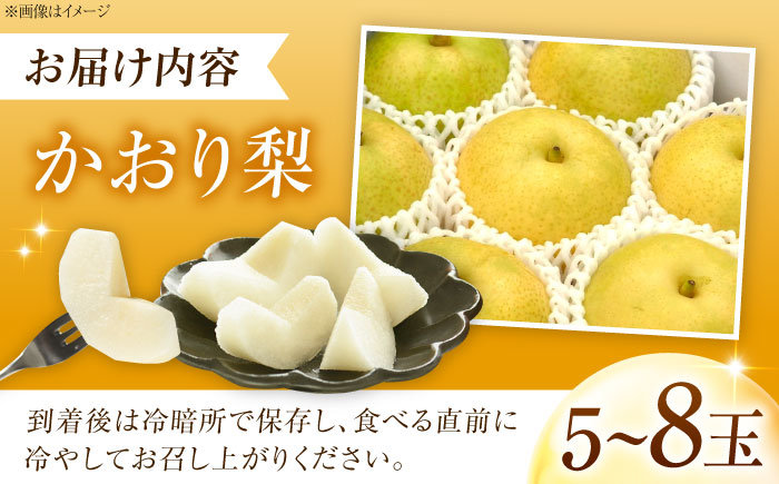 上岡果樹園のかおり梨 5～8玉入り 〈2026年9月～発送〉 ／ フルーツ 果物 くだもの 食品 人気 おすすめ 送料無料 梨 なし かおり梨 季節のフルーツ 【株式会社内子フレッシュパークからり】 