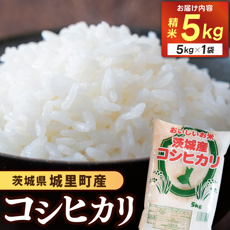 精米 5kg コシヒカリ 令和6年産 こしひかり 精白米 お米 米 ご飯【配送不可地域：離島】 (AX012)