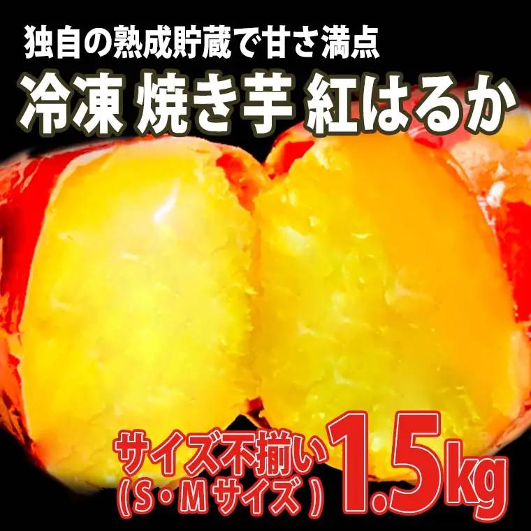 焼き芋 1.5kg 熟成 紅はるか 冷凍 K1947