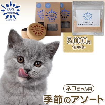 ふるさと納税 川崎市 お魚だよ全員集合　季節のアソートセット 5,000円セット　ネコちゃん用