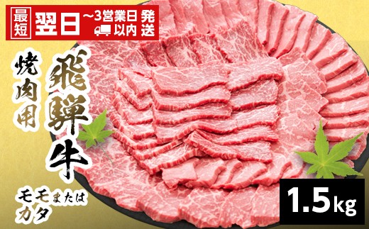 
                  【最短翌日発送】 飛騨牛 モモまたはカタ 焼肉用 赤身 1.5kg 岐阜県産 焼肉 詰め合わせ 黒毛和牛 もも かた 赤身 牛肉 牛 国産 お取り寄せ 自宅用 和牛 最短発送 養老ミート
                
