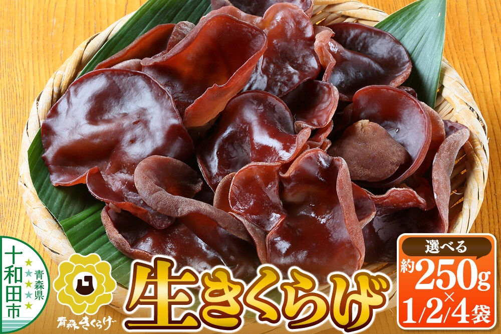 
                  青森きくらげ（生キクラゲ）【選べる内容量：約250g～約1kg】 十和田市産 [国産 生きくらげ クール便]
                