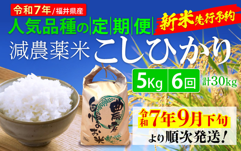 
            【令和7年産新米・先行予約】定期便 ≪6ヶ月連続お届け≫ 減農薬米こしひかり 5kg × 6回（計30kg） 令和7年 福井県産 人気品種の定期便！【玄米 対応可】【令和7年9月下旬より順次発送】 [e35-f004]
          