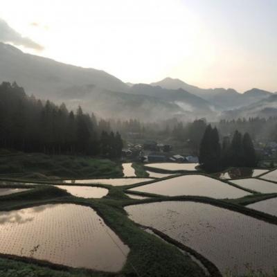 ふるさと納税 三条市 [数量限定] 棚田米 米ぬか栽培コシヒカリ5kg 新潟県 三条市 【014S086】 |  | 02