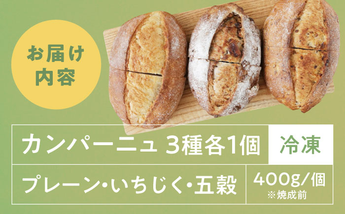 　【冷凍】カンパーニュ3種セット (プレーン・いちじく・五穀) 愛媛県大洲市/株式会社アライ 冷凍パン ハードパン 食事パン 朝食 ベーカリー 冷凍 [AGAY050]