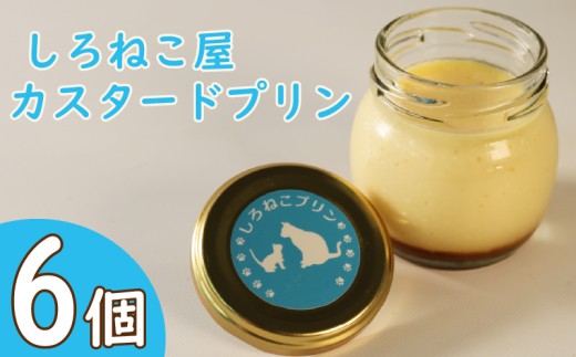 プリン 手作り カスタード プリン  6個セット お菓子 デザート スイーツ おいしい  おやつ 洋菓子 ご褒美  静岡県 藤枝市