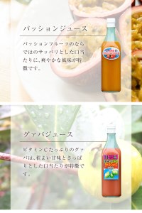 n025 南国種子島のパッション・グァバジュースセット(合計2本・各500ml)鹿児島 種子島 南国 希釈タイプ 飲料 ドリンク ジュース 果物 フルーツ 国産【菓心利休】