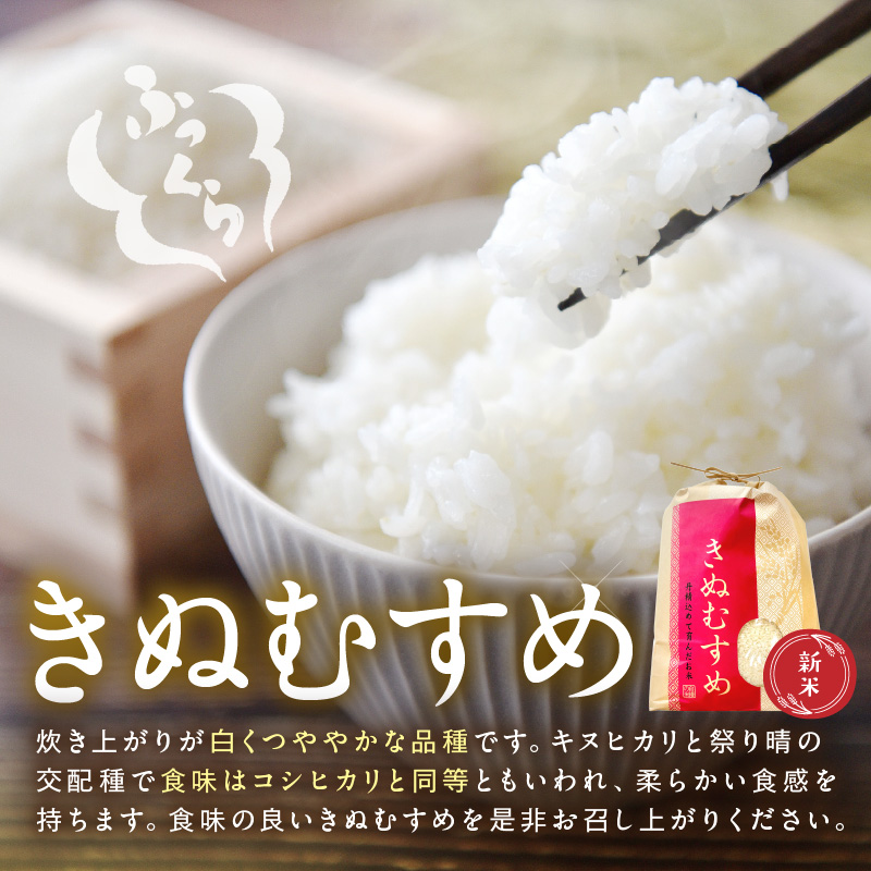 【1186】令和7年産 和歌山県産 「きぬむすめ」精米10㎏