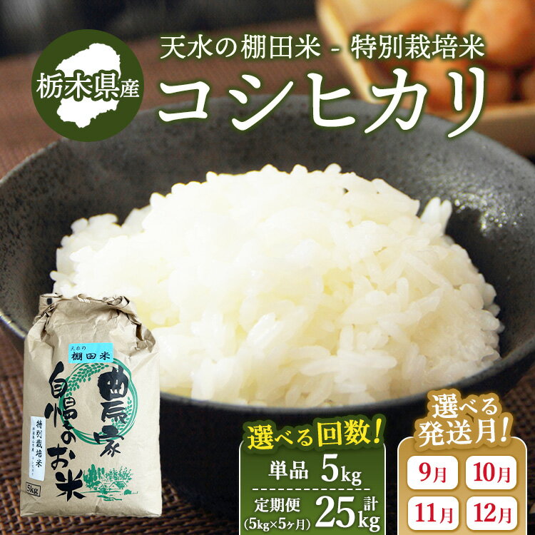 【ふるさと納税】【配送月・回数が選べる】天水の棚田米 特別栽培米 コシヒカリ 5kg ｜ 先行予約 定期便 5ヶ月 栃木県