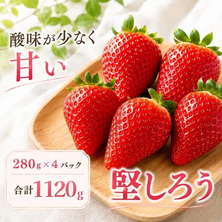 いちご【2027年発送】堅しろう 4パック×280g 完熟いちご